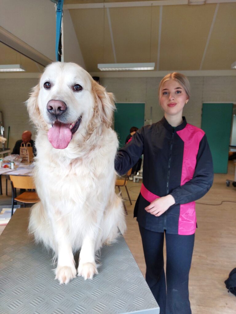 Honden trimsalon